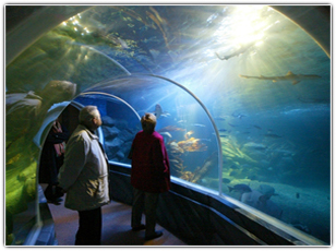 Aquarium Tunnel